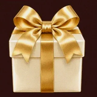 Ribbon gift box — Slota