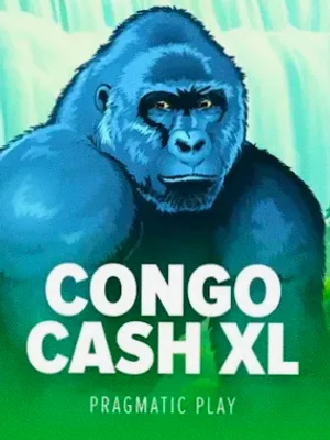 Congo Cash XL at Slota